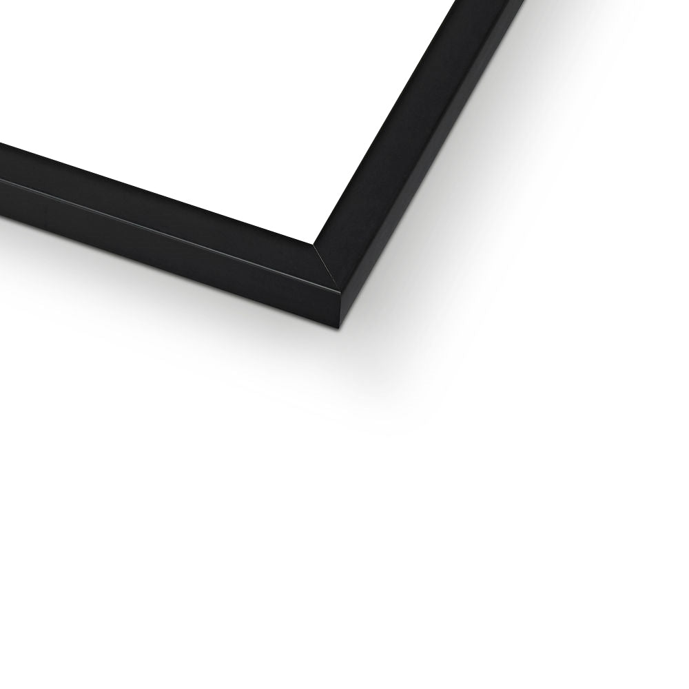 Raüber haben keine FOMO Framed Print