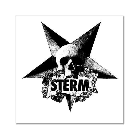 Sterm Fine Art Print